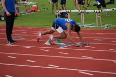 Enlarge photo 333