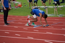 Enlarge photo 334