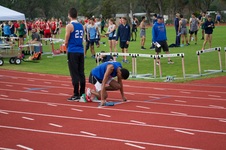Enlarge photo 340