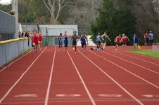 Enlarge photo 353