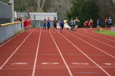 Enlarge photo 354