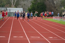 Enlarge photo 358