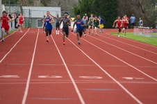 Enlarge photo 367