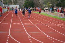Enlarge photo 374