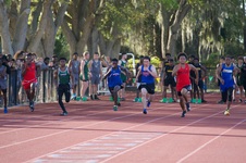 Enlarge photo 643