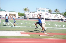 Enlarge photo 46