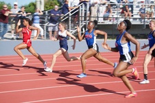 Enlarge photo 168