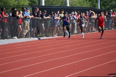 Enlarge photo 229
