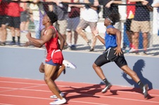 Enlarge photo 241