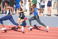 Enlarge photo 283