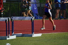 Enlarge photo 341
