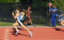 Enlarge photo 482