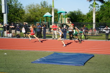 Enlarge photo 485