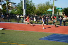Enlarge photo 486
