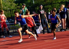 Enlarge photo 523