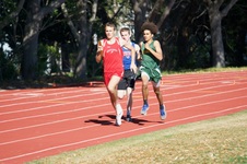 Enlarge photo 98