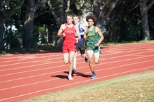 Enlarge photo 99