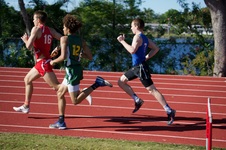 Enlarge photo 105