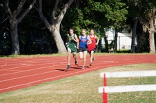 Enlarge photo 114