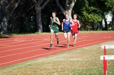 Enlarge photo 115