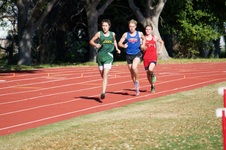 Enlarge photo 117