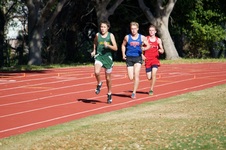 Enlarge photo 118