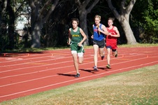 Enlarge photo 119