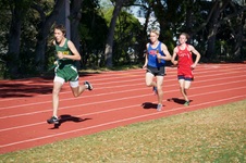 Enlarge photo 122