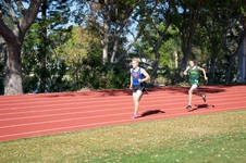 Enlarge photo 132