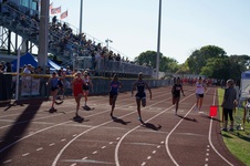 Enlarge photo 238