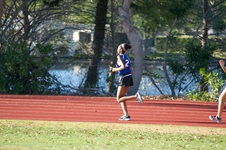 Enlarge photo 258