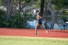 Enlarge photo 259