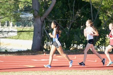 Enlarge photo 265