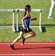 Enlarge photo 270