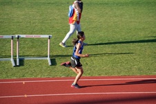 Enlarge photo 271