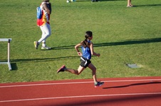Enlarge photo 272