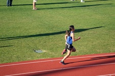 Enlarge photo 274