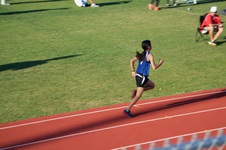 Enlarge photo 277