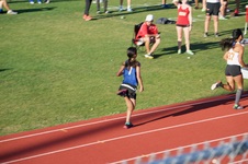 Enlarge photo 278