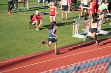Enlarge photo 279