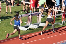 Enlarge photo 280