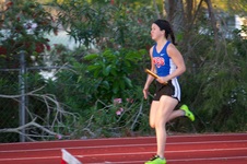 Enlarge photo 381