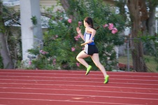 Enlarge photo 384