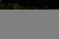 Enlarge photo 512