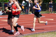 Enlarge photo 176