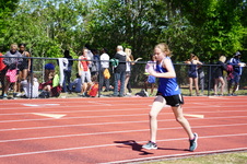 Enlarge photo 177