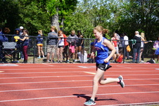 Enlarge photo 179