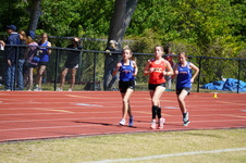 Enlarge photo 185