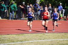 Enlarge photo 195