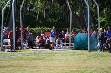 Enlarge photo 215